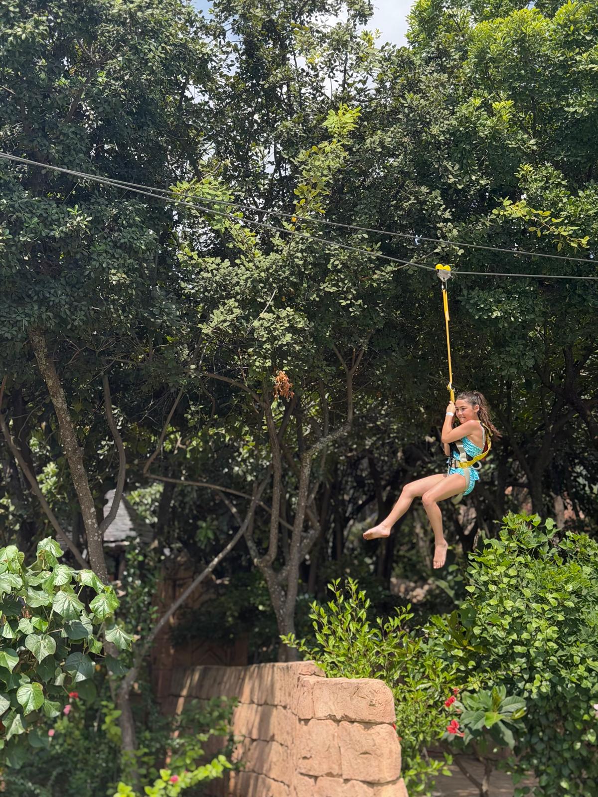 Chimp and Zee Rope Adventure Park — photo 5