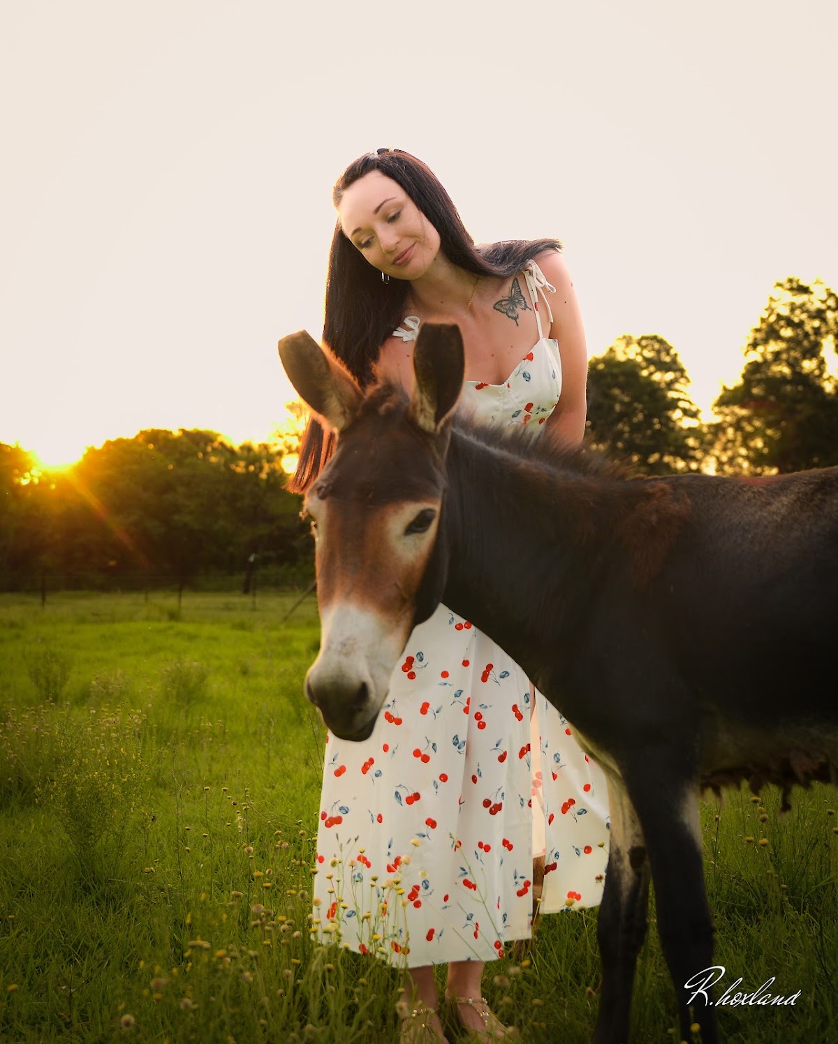 The Donkey Dairy — photo 1