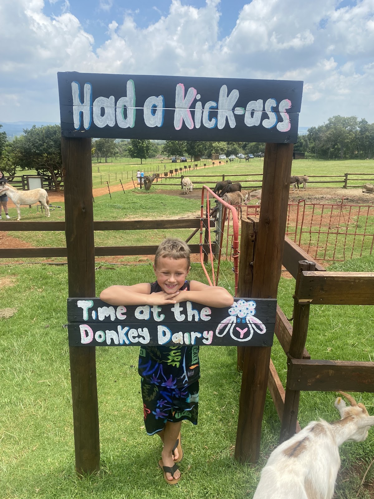 The Donkey Dairy — photo 3