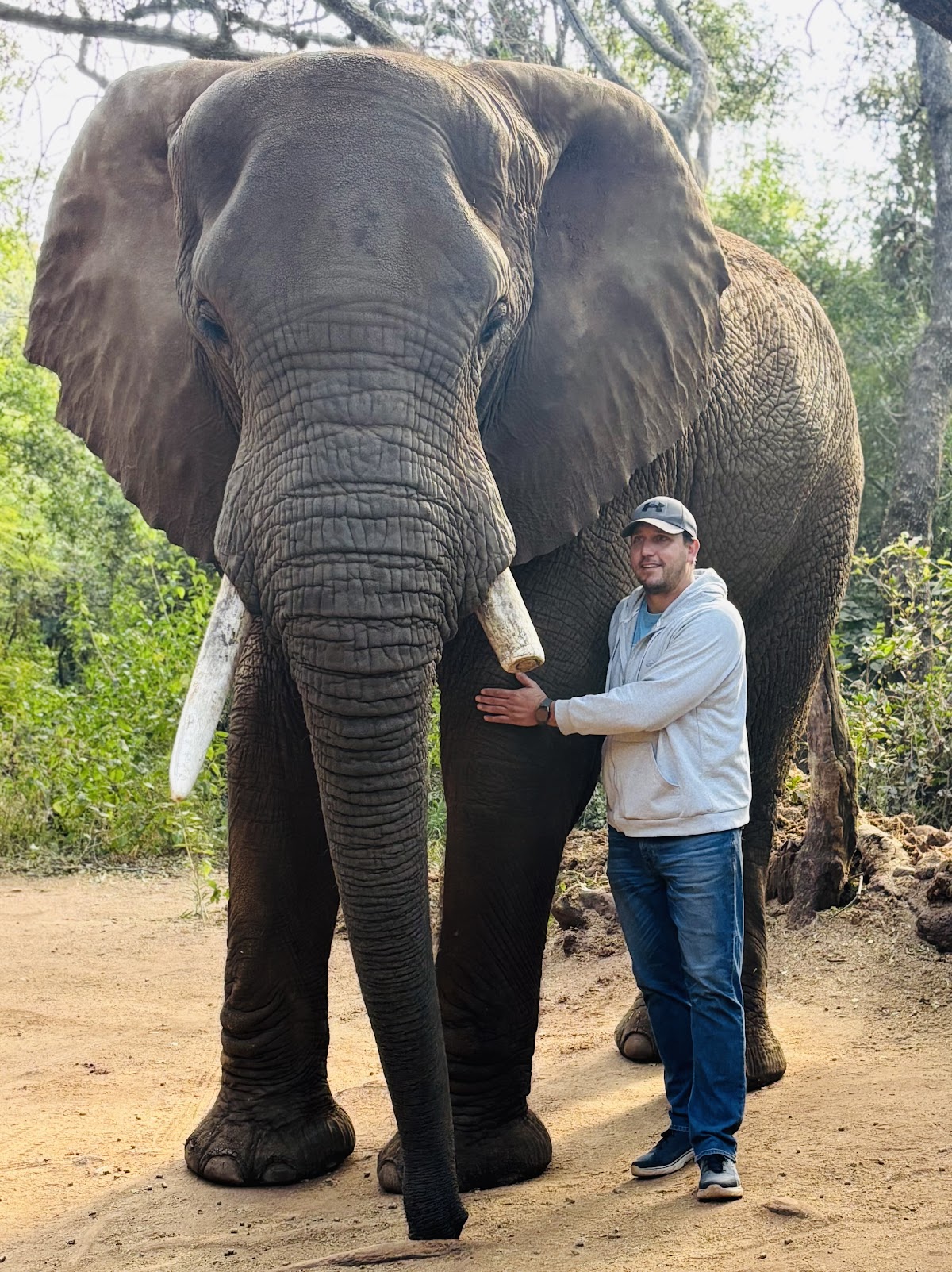 Elephant Sanctuary Hartbeespoort — photo 2