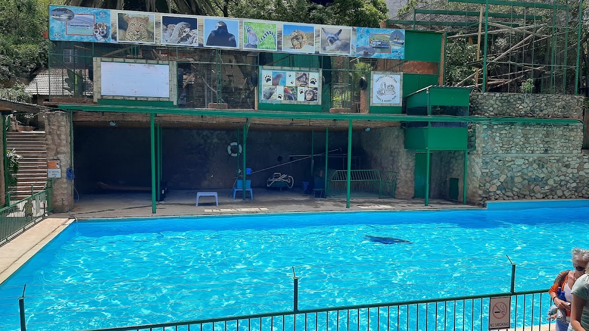 Hartbeespoort Dam Snake and Animal Park — photo 4