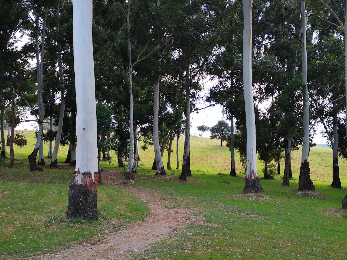 James & Ethel Gray Park — photo 1