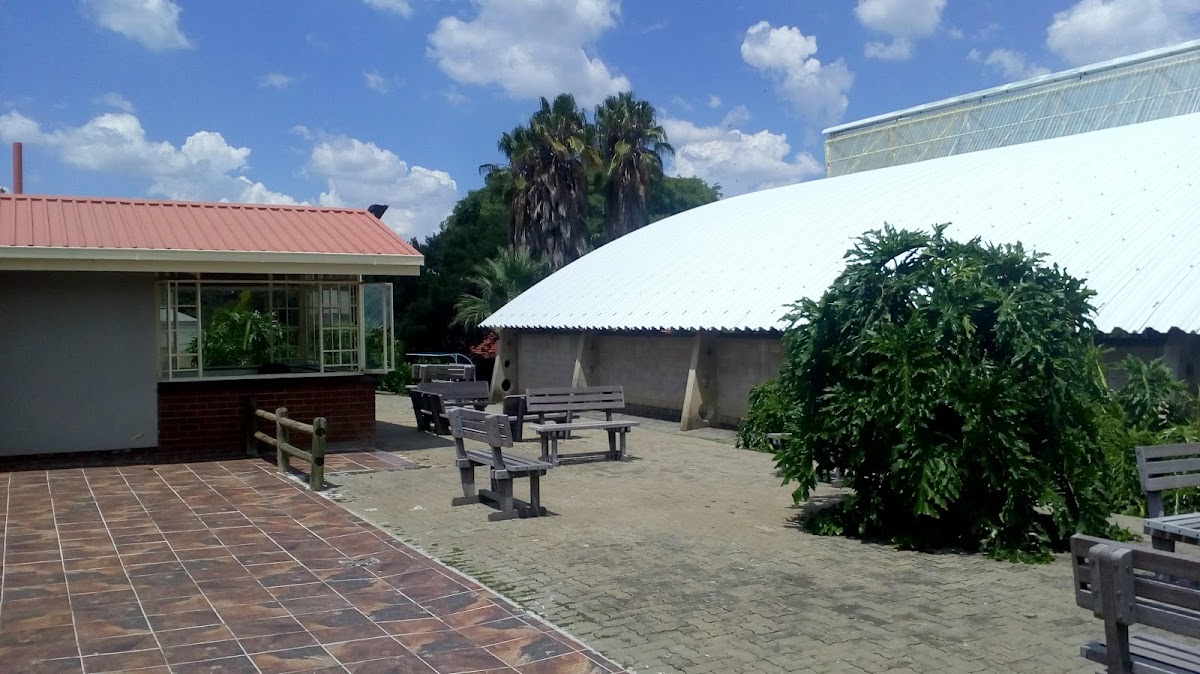 Linden Swimming Pool — photo 3