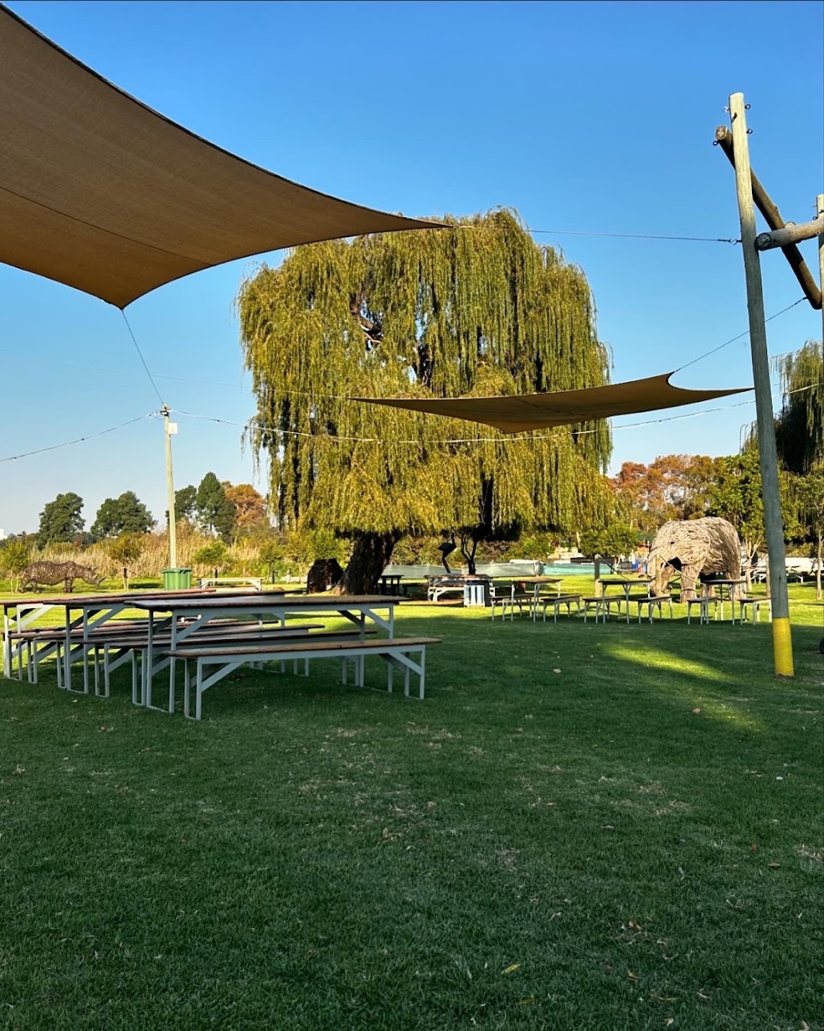 Modderfontein Bird and Sculpture Park — photo 2
