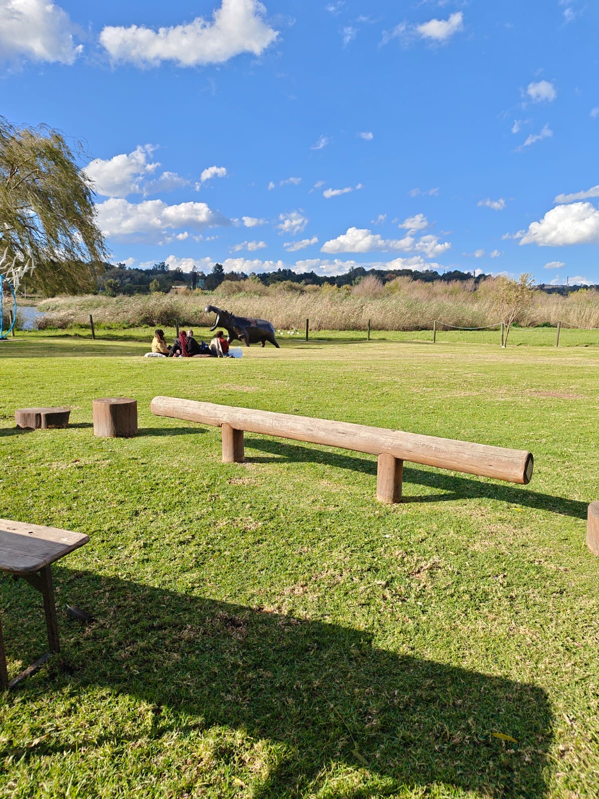 Modderfontein Bird and Sculpture Park — photo 4