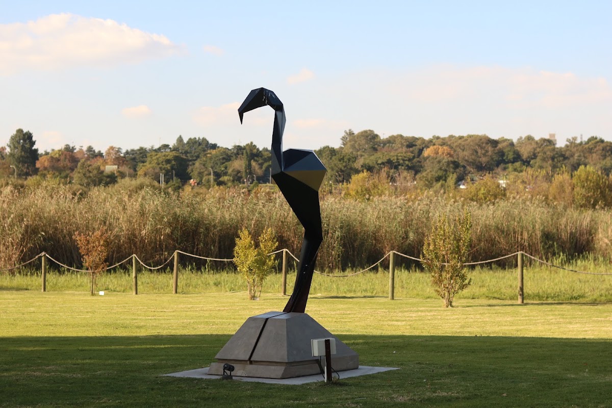 Modderfontein Bird and Sculpture Park — photo 6