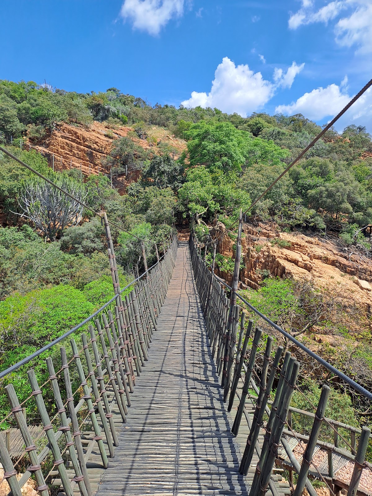 Monkey Sanctuary, Hartbeespoort in South Africa — photo 5