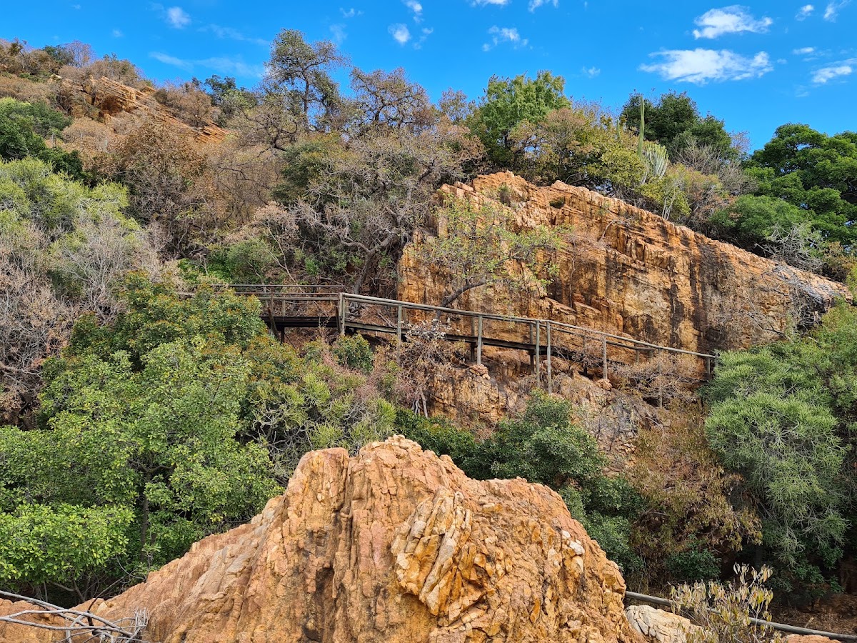 Monkey Sanctuary, Hartbeespoort in South Africa — photo 6