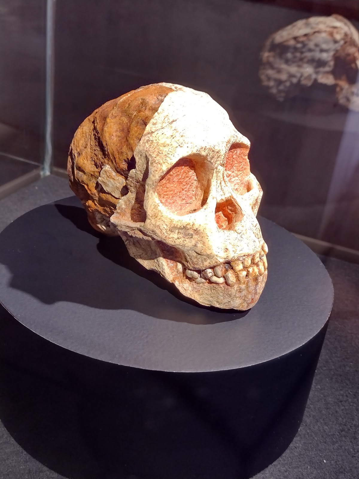 Origins Centre Museum — photo 3