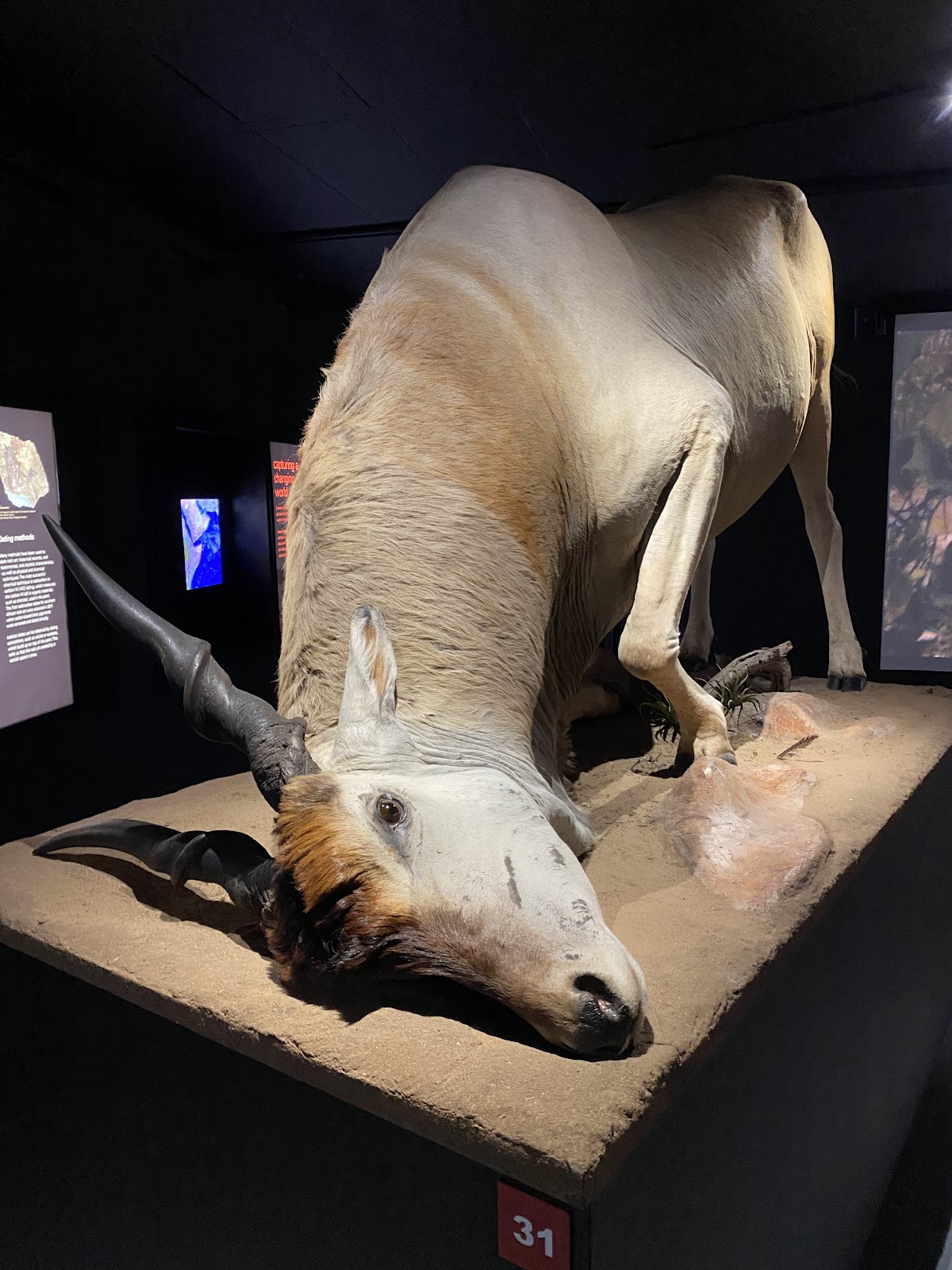 Origins Centre Museum — photo 5