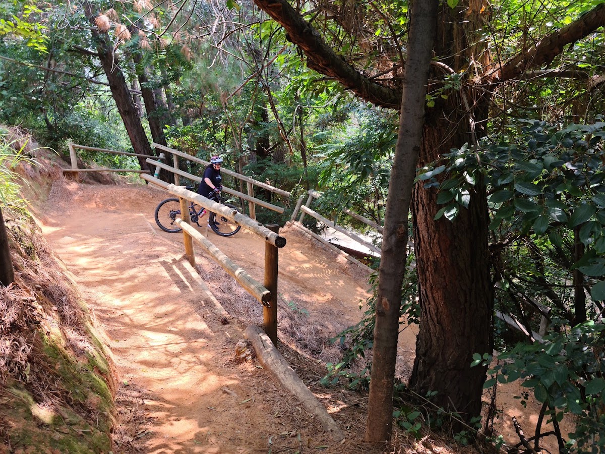 Cycle Lab Bike Park — photo 5