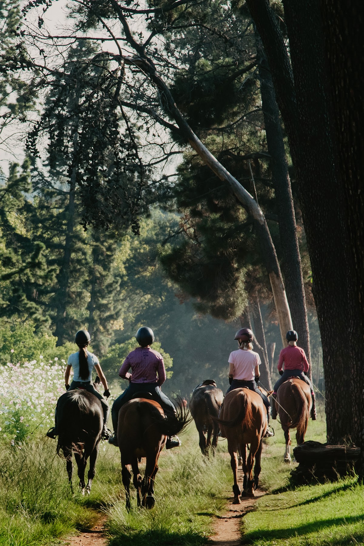 Ranger Stables — photo 1