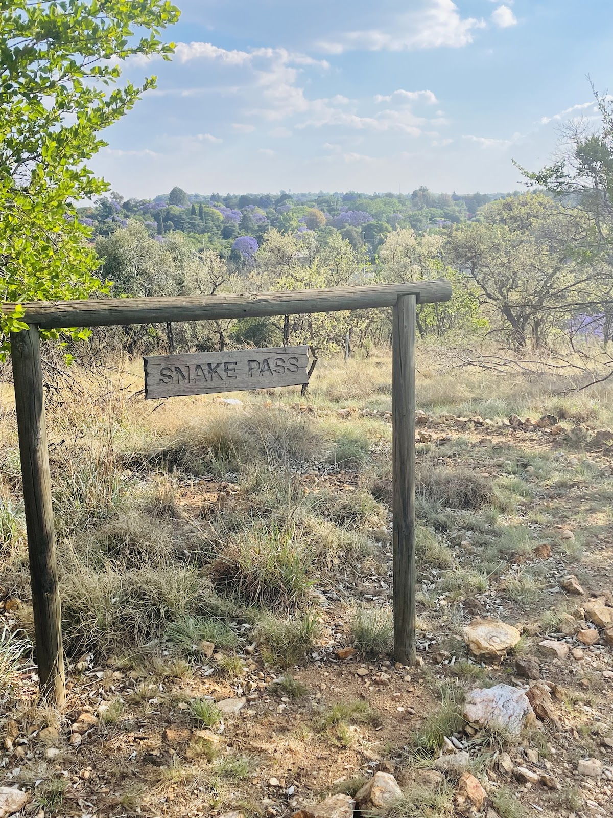 Rietfontein Nature Reserve — photo 5