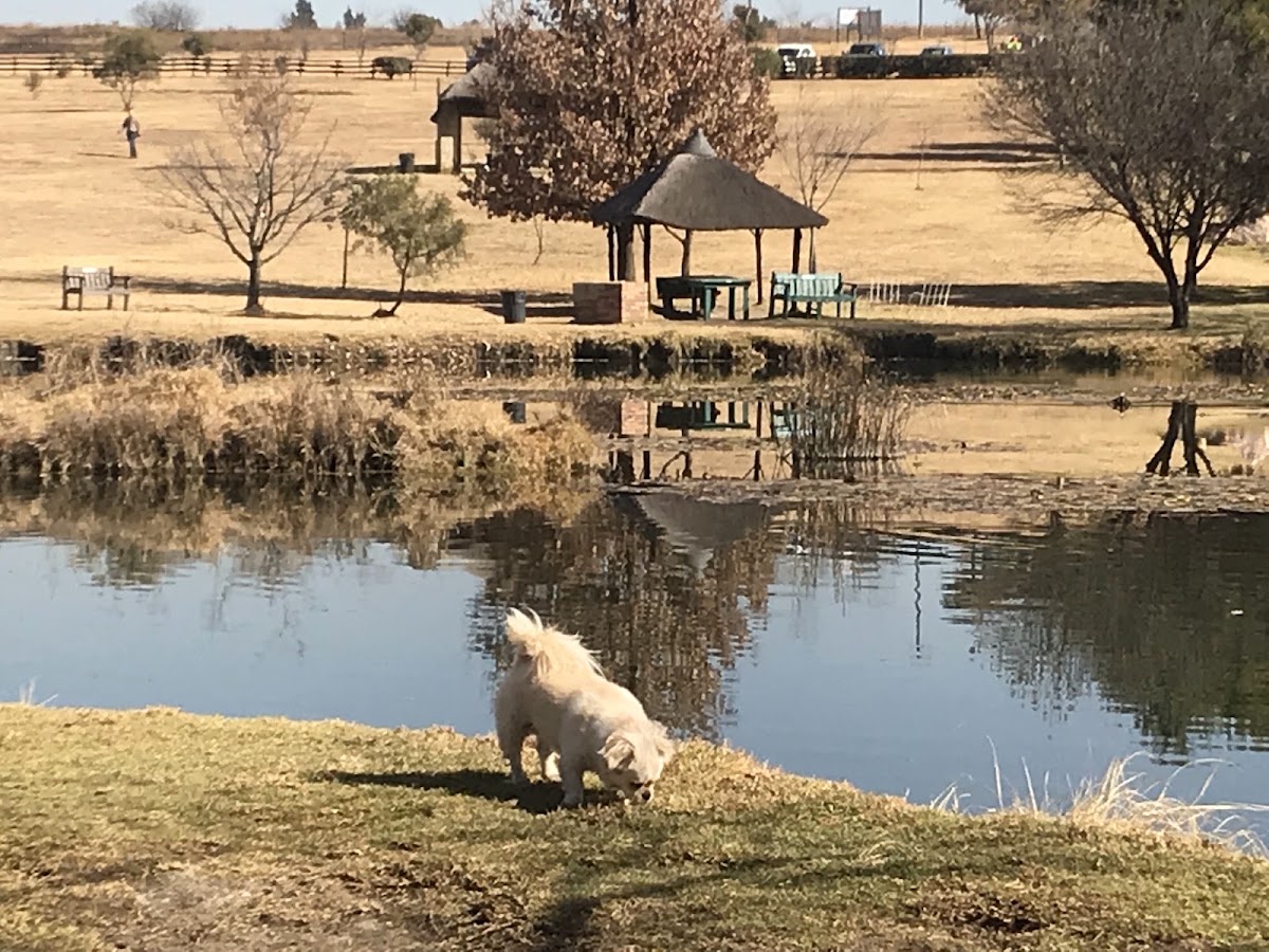 Walkhaven Dog Park — photo 4