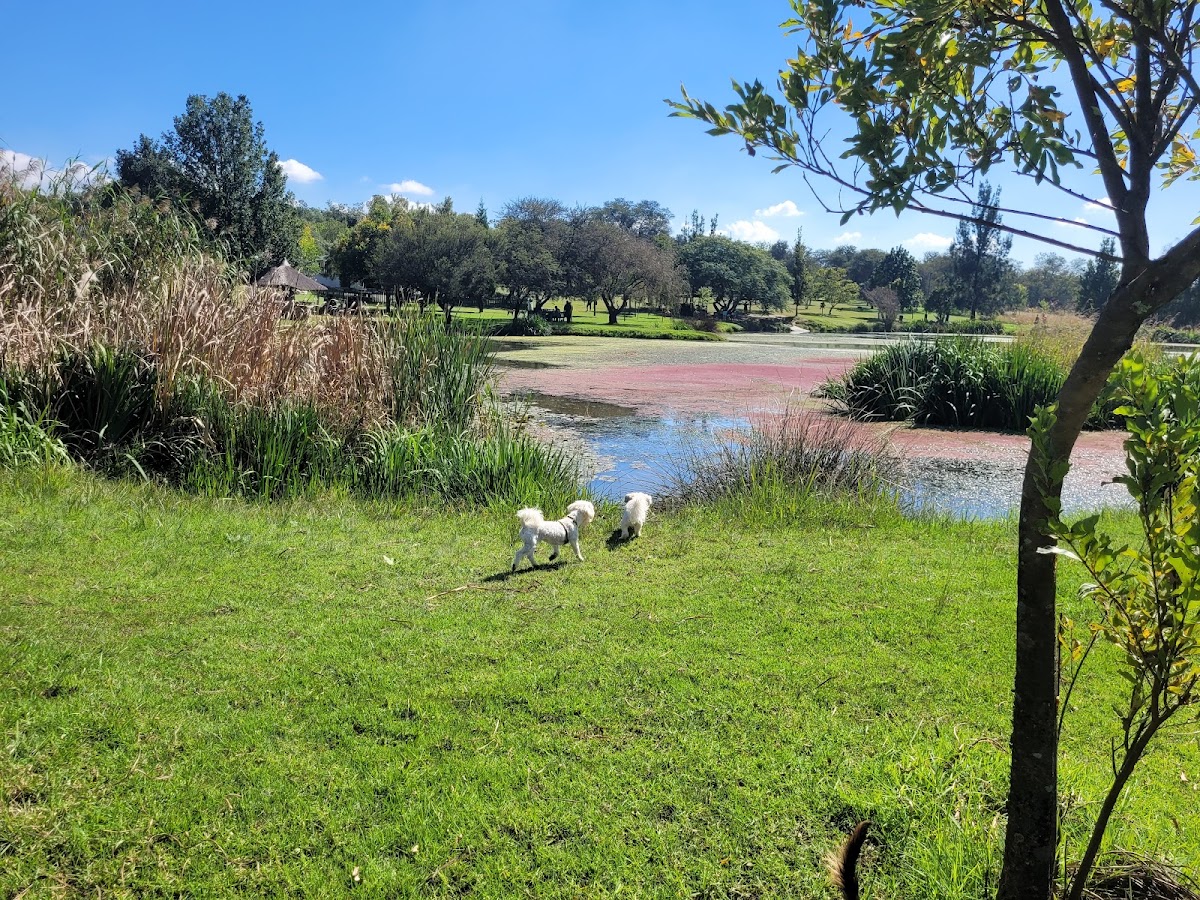 Walkhaven Dog Park — photo 5