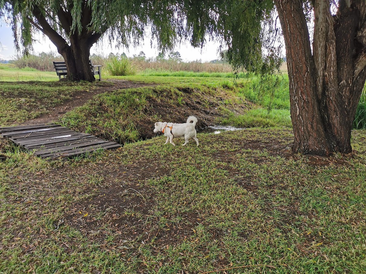 Walkhaven Dog Park — photo 6