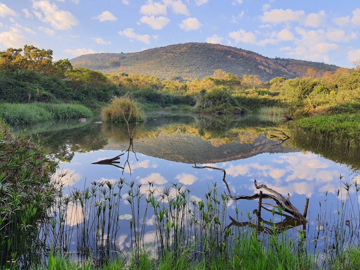 Walter Sisulu National Botanical Garden — photo 4