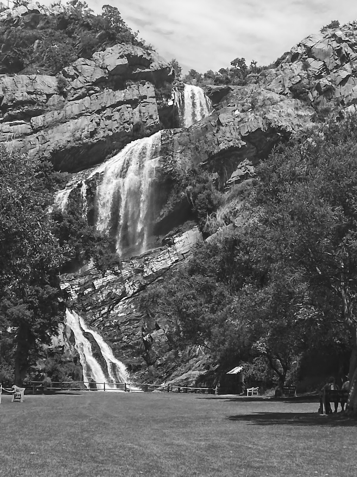 Walter Sisulu National Botanical Garden — photo 6
