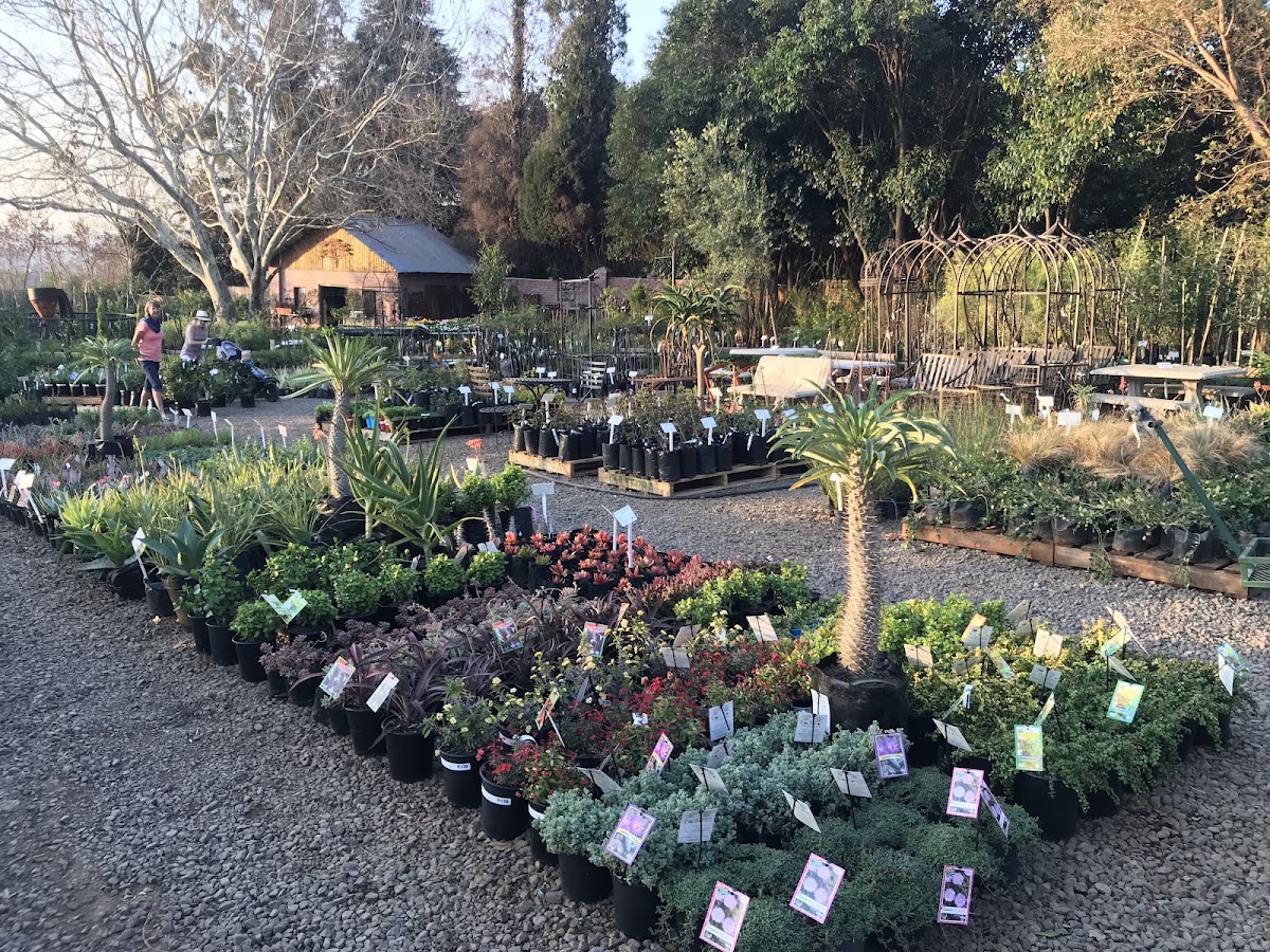 Willow Feather Farm — photo 2