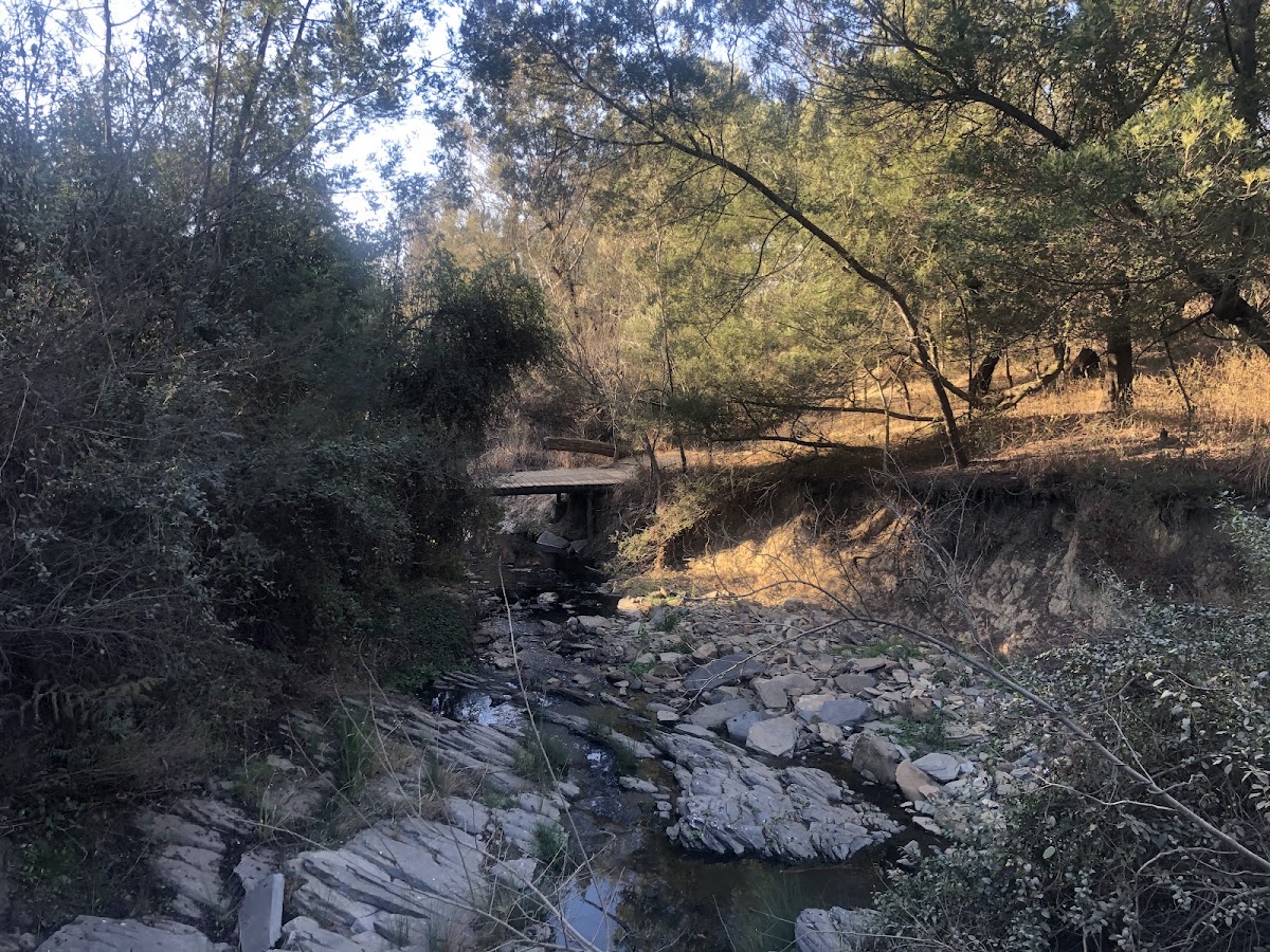 Wolwespruit MTB and Trail Park — photo 6