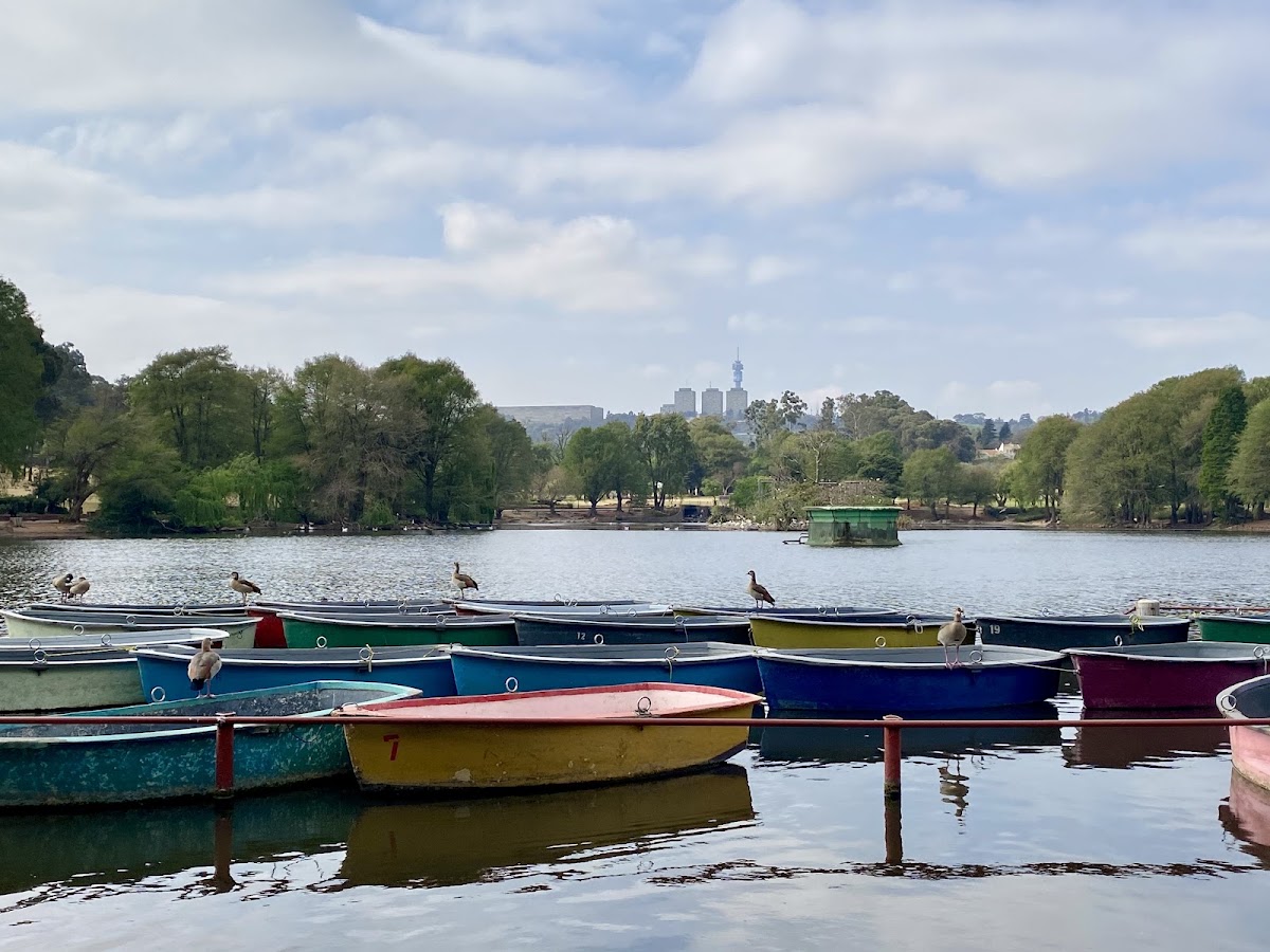 Zoo Lake — photo 4