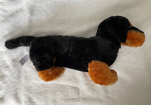 Featured item from Doxie Summer 2025