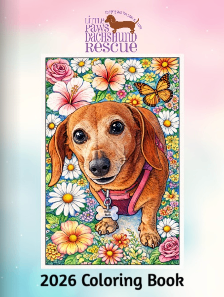 LPDR Coloring Book 2026