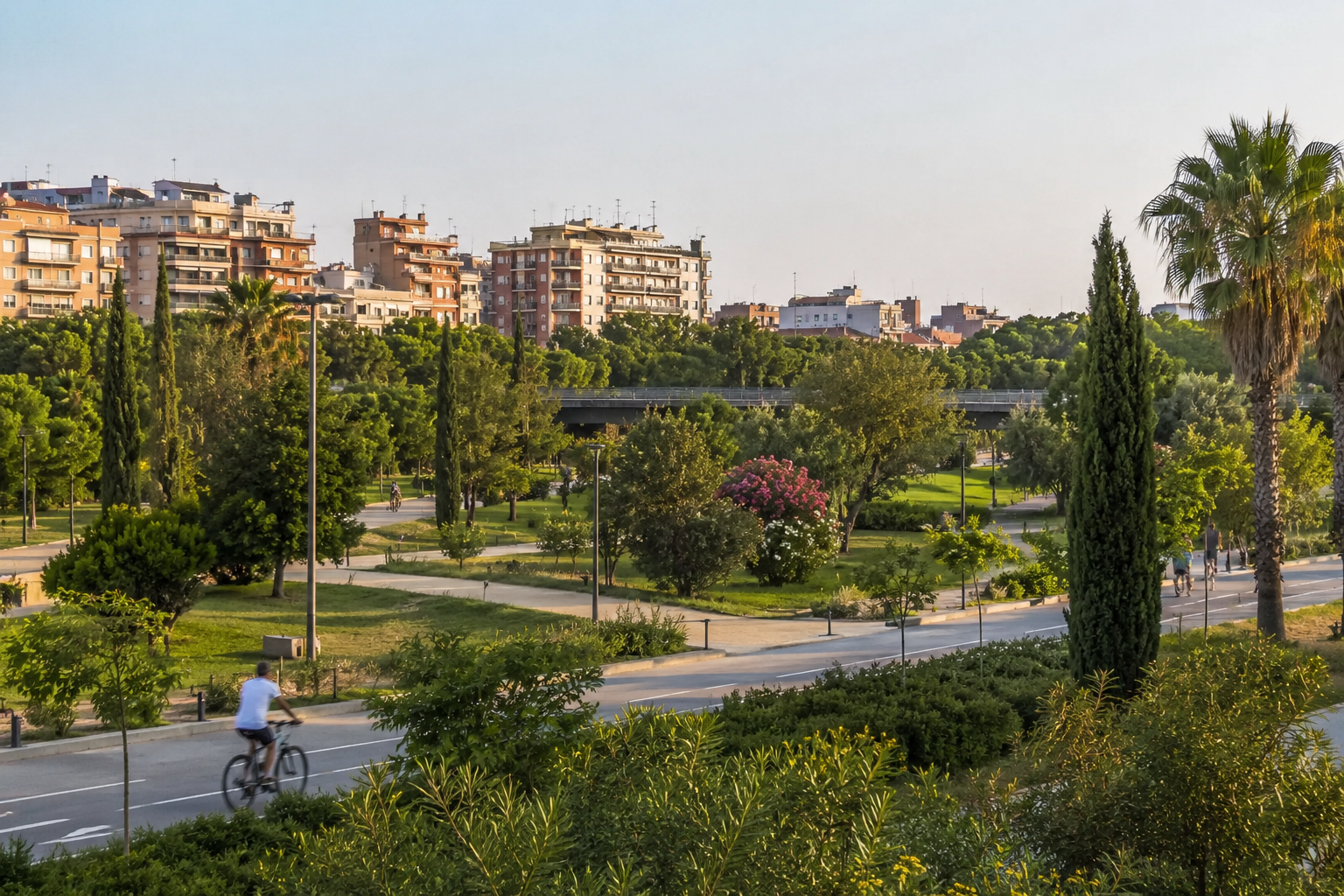 Vista del Jardín del Turia y del entorno de Monteolivete en Valencia, un barrio residencial bien conectado y muy valorado para vivir de alquiler.
