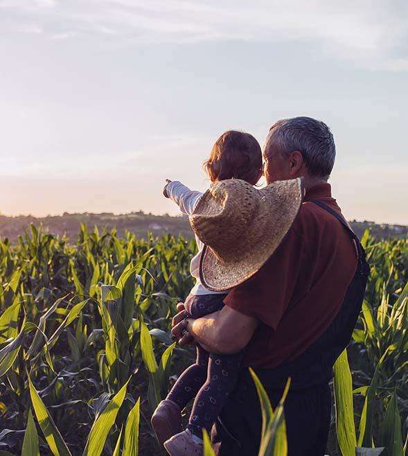 How changes to family trusts could impact Australian farmers - Orange, NSW