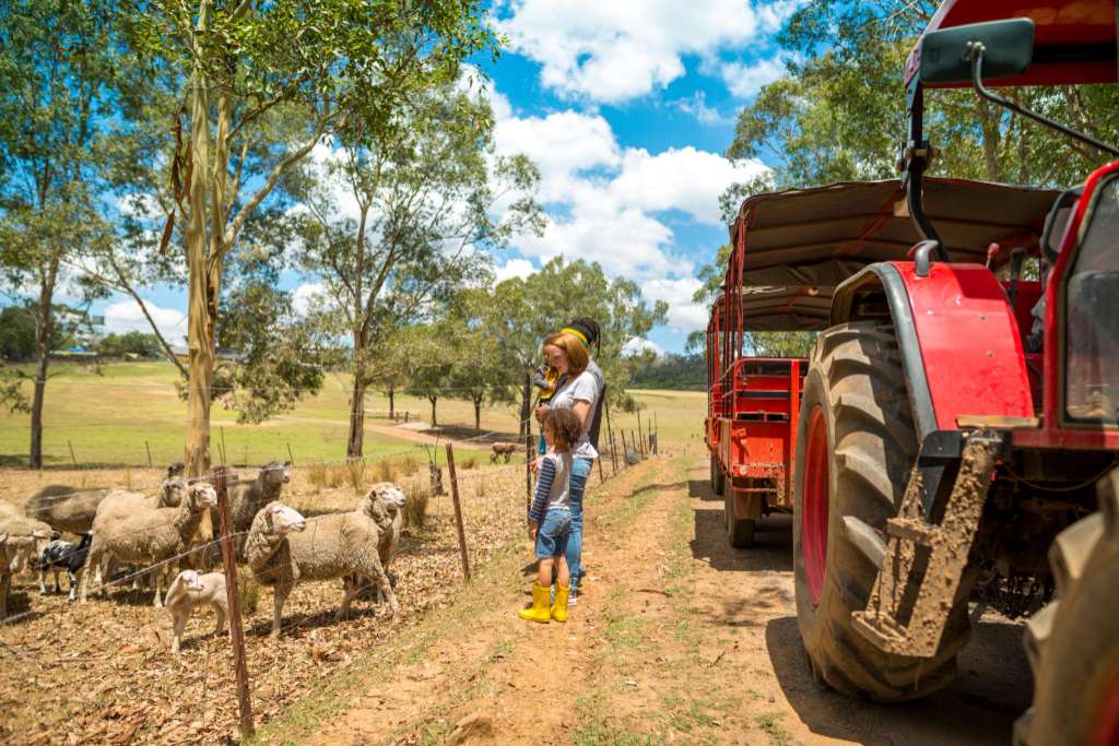 How changes to family trusts could impact Australian farmers - image 2