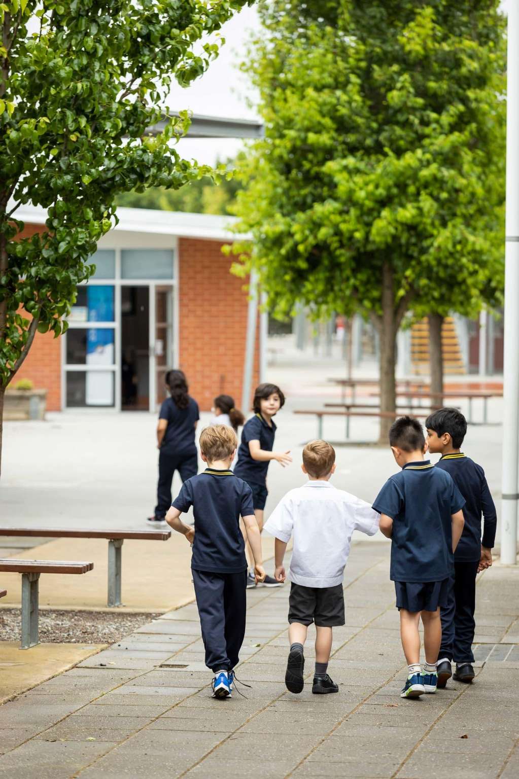 Big Steps for Little Feet: More Than 20 Bendigo Schools Join Active Travel Initiative