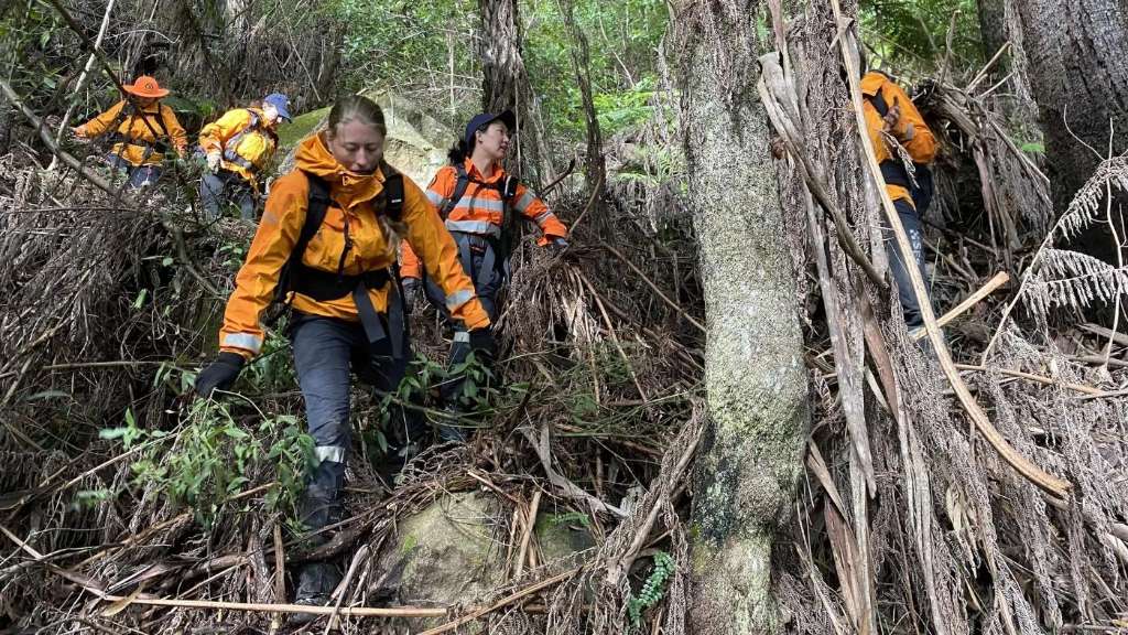 Review Finds Search for Missing Woman Esther Marie Wallace Was Conducted Appropriately