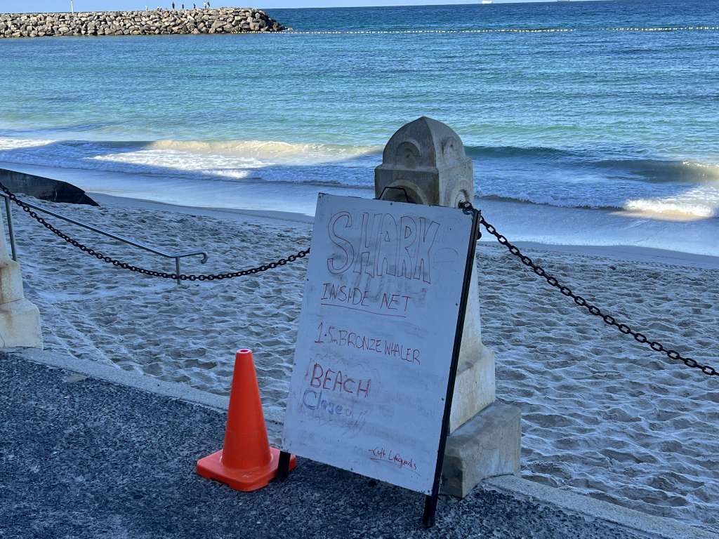 Heartbreaking Health Update on Coogee Beach Shark Attack Victim Leah Stewart