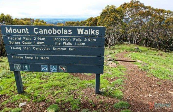 Coroner rules Esther Wallace's death not suspicious after 12-day Mount Canobolas search