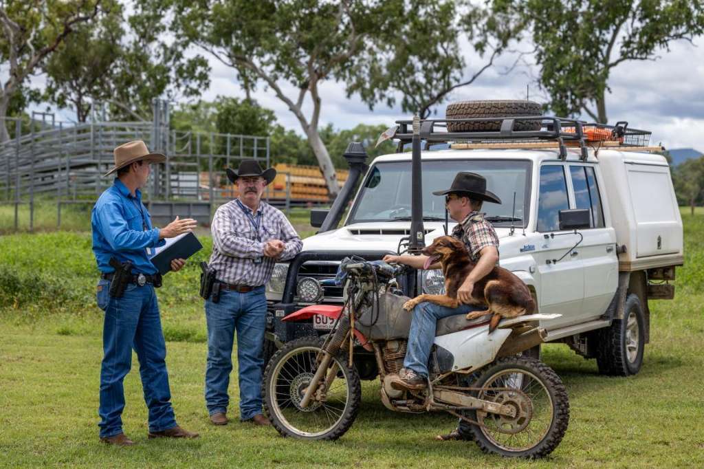 Clermont woman charged over alleged $280,000 theft of cattle and tractor