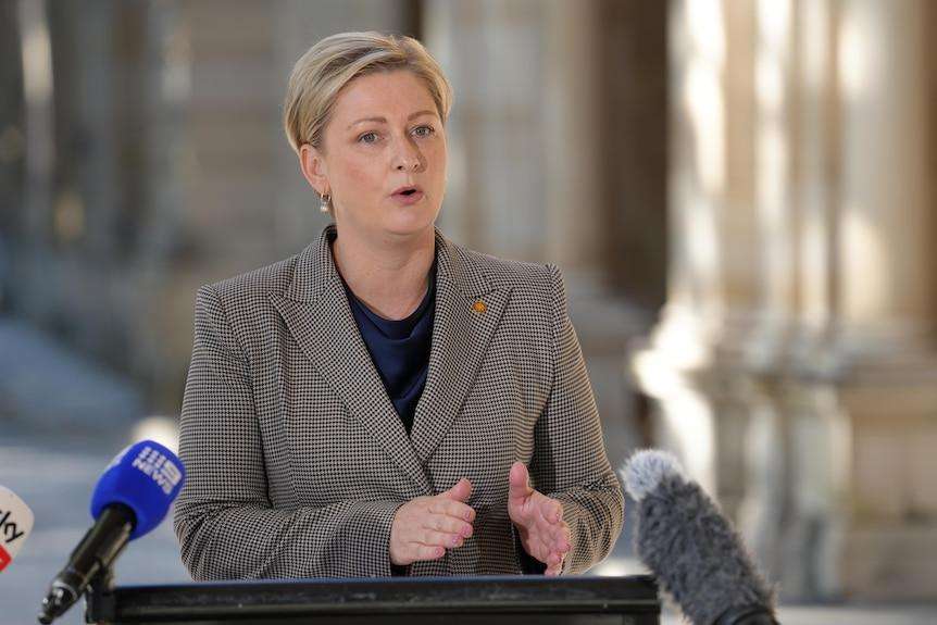 Queensland Child Safety Minister reveals health reason behind public silence