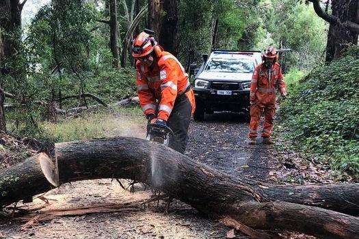 ACT man killed after car crashes into fallen tree during storms near Cowra
