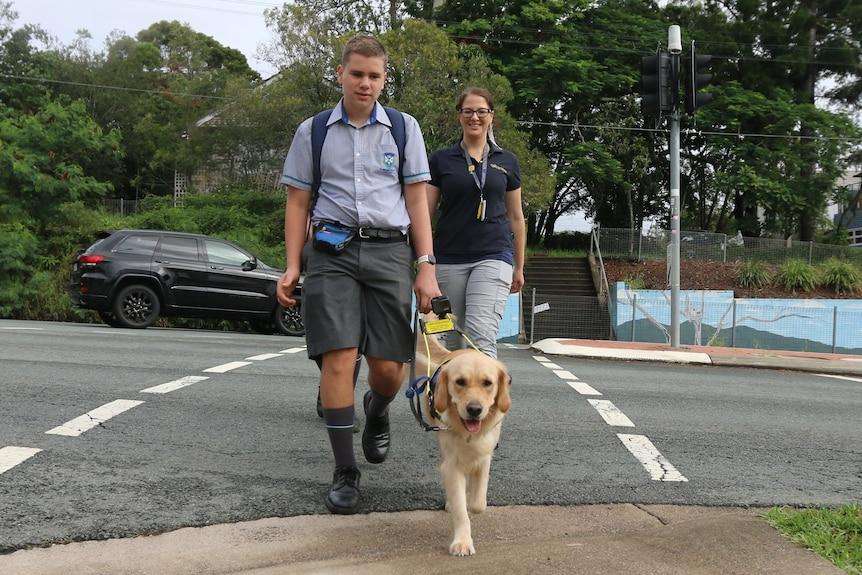 Seeing Eye Dogs help Central West residents regain confidence and independence