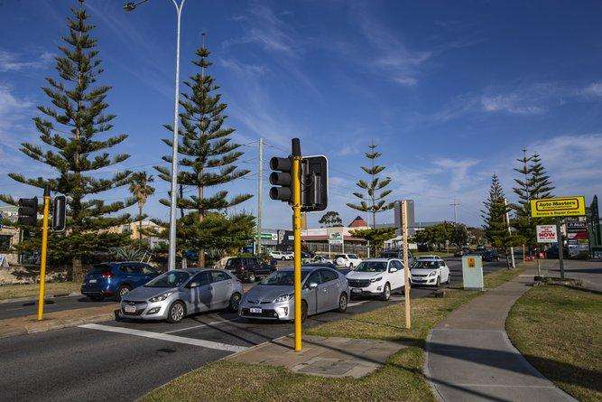 Fremantle residents rally to save century-old Norfolk Island pines from removal