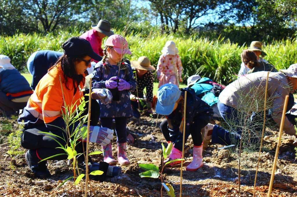 Tiny Forests Take Root Across Sydney to Restore Urban Tree Canopy