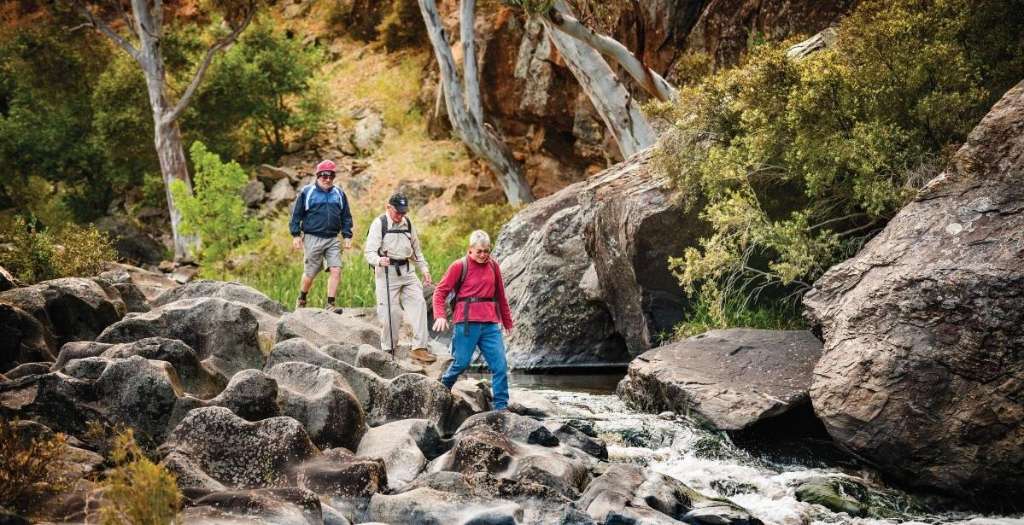 Three Teenagers Rescued After Getting Lost in Onkaparinga River National Park