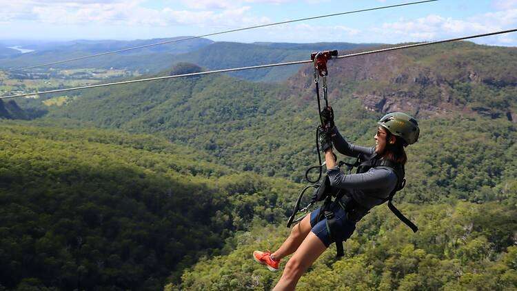 Company behind Gold Coast's Happitat Adventure Park enters voluntary administration