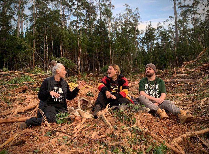 Aboriginal activist Ruth Langford defends logging protest trespass charge in Tasmanian court