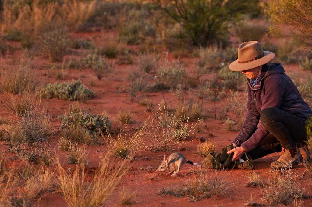 Whyalla community focuses on protecting biodiversity and preserving local ecosystems