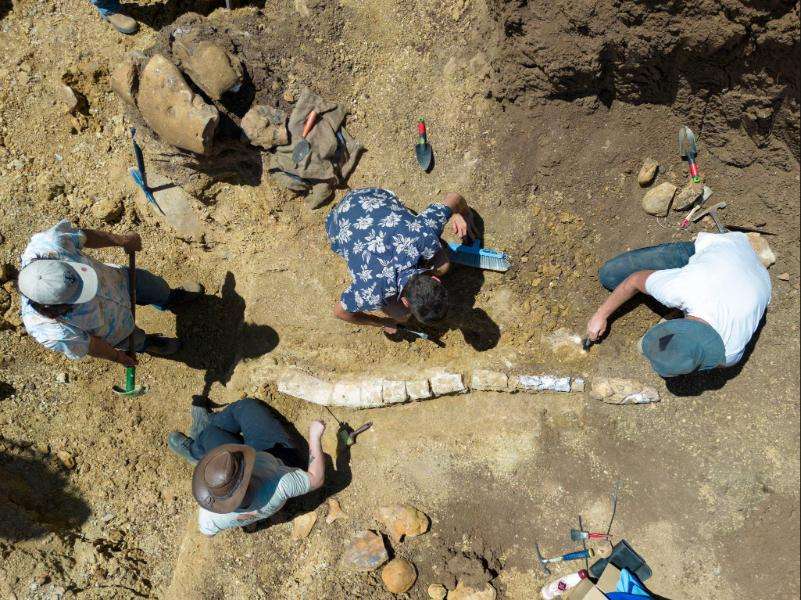 Firefighter-Turned Fossil Hunter Solves Ancient Dinosaur Mysteries Through Social Media