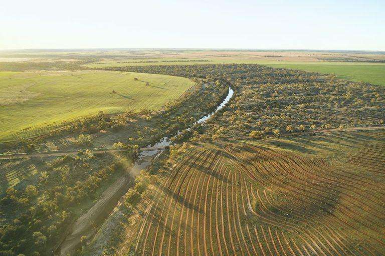 Farm Land Credits Drive Changes in Rural Communities as Carbon and Biodiversity Markets Expand