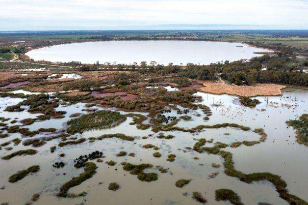 Supreme Court Pauses Nyah Floodplain Restoration Project Over First Nations Consultation Concerns