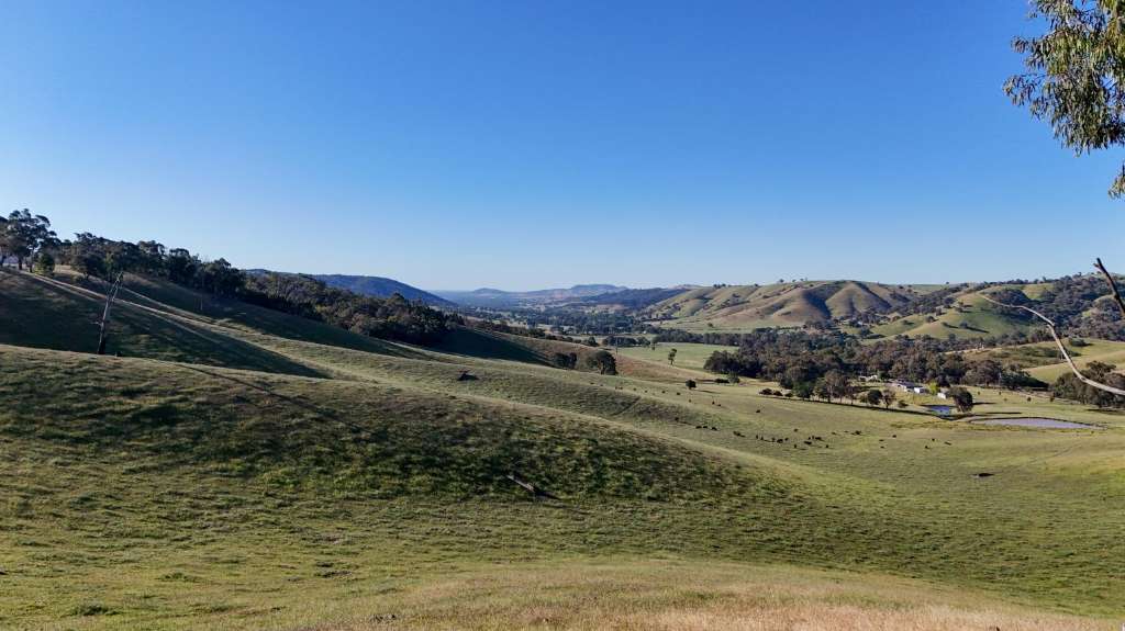 VCAT Rejects Rutherglen Roadhouse Proposal Over Flood and Biodiversity Risks