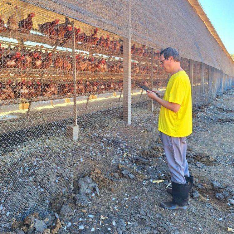 Victoria on High Alert as Authorities Intensify Monitoring for Deadly H5N1 Bird Flu
