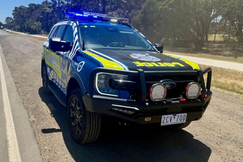 Wodonga Drink Driver Henry Hughes Threatened Mother and Her Cat Before Facing Court - Albury, NSW